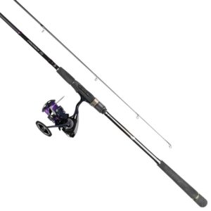 Daiwa Prorex S Haspelcombo 8'