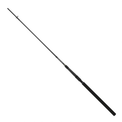 BFT Carbon
