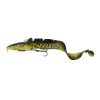 Burbot