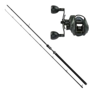 ABU Beast 300 L + W3 Powershad 60-180g LH