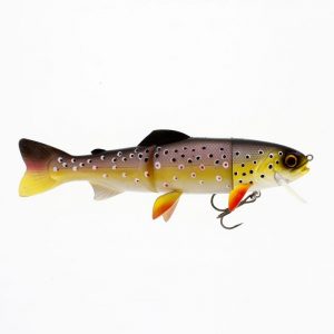 tommy the trout
