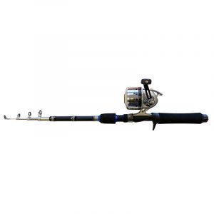 Daiwa Silvercast Tele Combo 180cm 10-30g