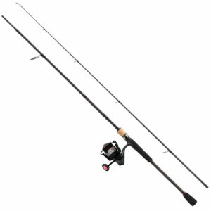 ABU E-Motion Pike Combo 8´ H 20-60g