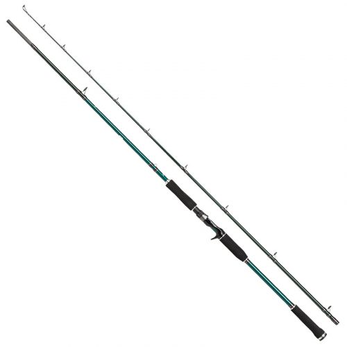 Abu Beast X Pike 842 XH 40-140g Spinn