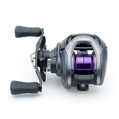 Daiwa 20 Prorex PE SV TW