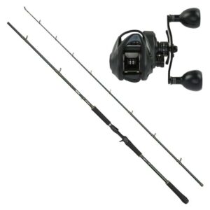 ABU Beast X2 Pike Combo Heavy Spinn R