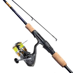 Daiwa Laguna XT Combo