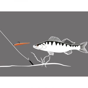 Dropshotfiske tackel