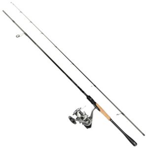 Daiwa Prorex XR Perch Combo 5-25g