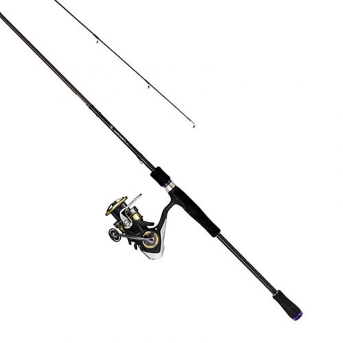 Daiwa Prorex XR Freams Combo