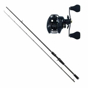 Westin W2 Powerstrike Spinncombo H 8' / 60-140g