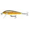 Brown Trout (TR)