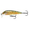 Brown Trout (TR)