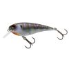 Crazy Bluegill