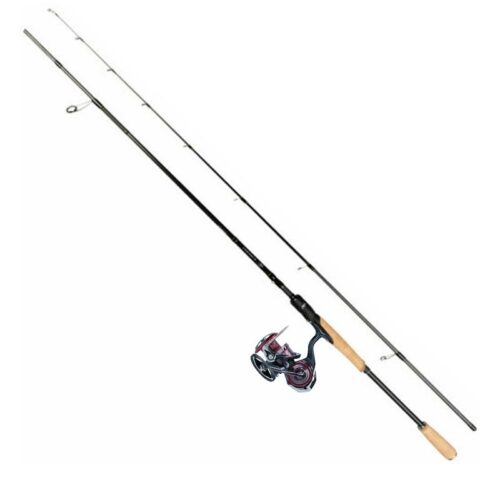 Daiwa Prorex XR Haspelcombo 8'2 50-120g