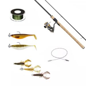 Westin W2 Abborre Set Komplett