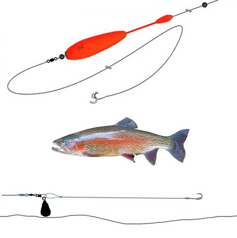 Paket Regnbåge mete 2 - Flötmete eller bottenmete » Fiska.nu - Fiskebutik