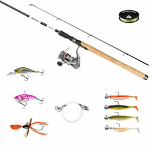 Daiwa Abborre Set Komplett