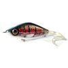 Red Belly Burbot