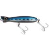 Blue Sardine