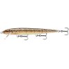 Brown Trout (TR)
