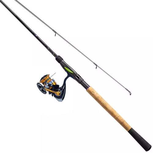 Daiwa Revros Gäddcombo 8ft 50-100g Haspel