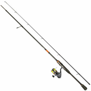 Daiwa TD Perch A5 Haspelcombo 7′ / 5-25g