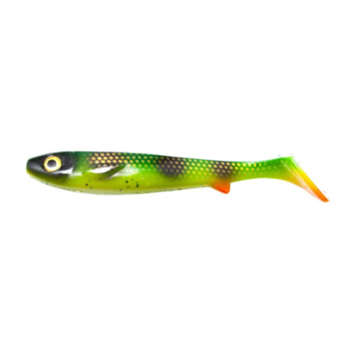 Flatnose Shad