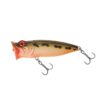 Golden Shiner