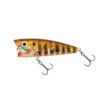 Brown Gill