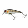 Copper Perch