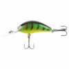 10 Perch