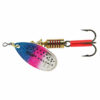 Rainbow Trout