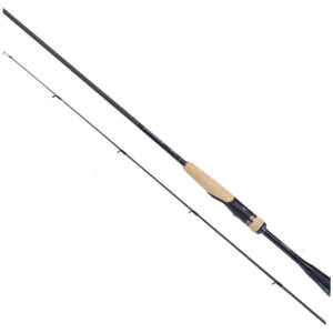 Shimano Expride 6'10 4-12g Haspel