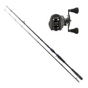 Daiwa Prorex AGS Gäddset RH