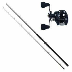 Westin W2 Powercast Spinncombo 8'3 / 40-130g