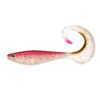 Live Rainbow Trout