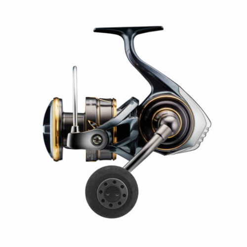 Daiwa 22 Caldia SW 5000D-CXH