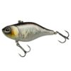 Baitfish