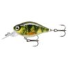 Live Perch (PEL)