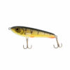 Perch