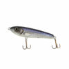 Whitefish