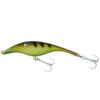 Yellow Perch