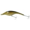 Golden Perch