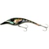 Barracuda