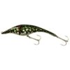 Shiny Pike