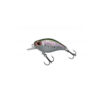 Rainbow Trout