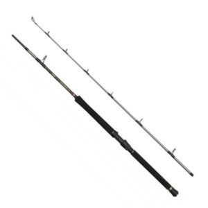 Penn Regiment IV Boat 210cm / 30-50Lb 2-del