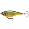 Scarred Roach (SCRR)