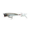 Pearl Grey Shiner (PGS)